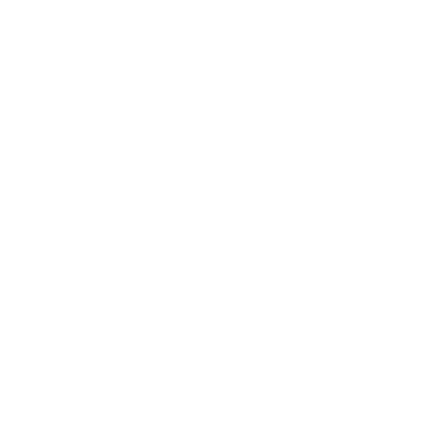 partner-google-mysolution-2x